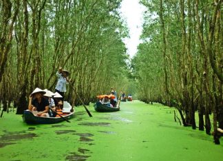 Du lịch An Giang mùa nước nổi 