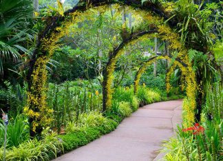 Du lịch Singapore vào mùa Thu tháng mấy là đẹp nhất?