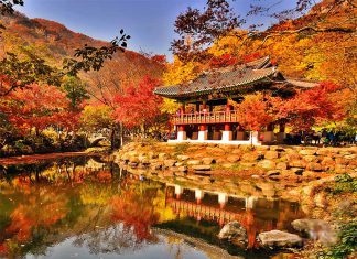 Du lịch Đài Loan mùa thu có điều gì đặc biệt?