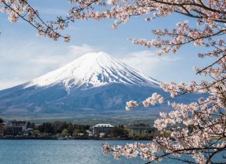 Du lịch Nhật Bản mùa nào là đẹp?