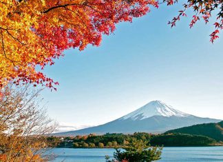 Những trải nghiệm thú vị khi du lịch Nhật Bản vào mùa thu