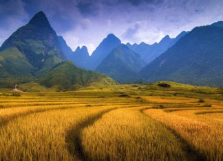 Kinh nghiệm du lịch Tây Bắc Tết nguyên đán 2020 từ A đến Z