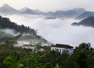 Kinh nghiệm du lịch vườn quốc gia Xuân Sơn cần thiết nhất Kinh nghiệm du lịch vườn quốc gia Xuân Sơn cần thiết nhất