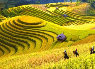 tou sapa mua thu