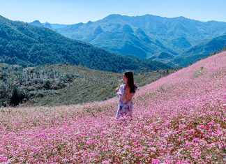 Tham khảo kinh nghiệm du lịch Hà Giang Mùa Thu hữu ích dành cho du khách