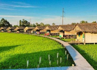 Tour Cao Lãnh 1 ngày có gì chơi? Những địa điểm vui chơi ở Cao Lãnh Đồng Tháp